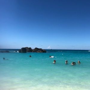 Meet your Posher, Jodie